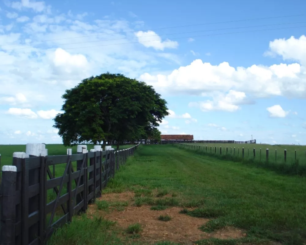 Fazenda à venda - Foto 3