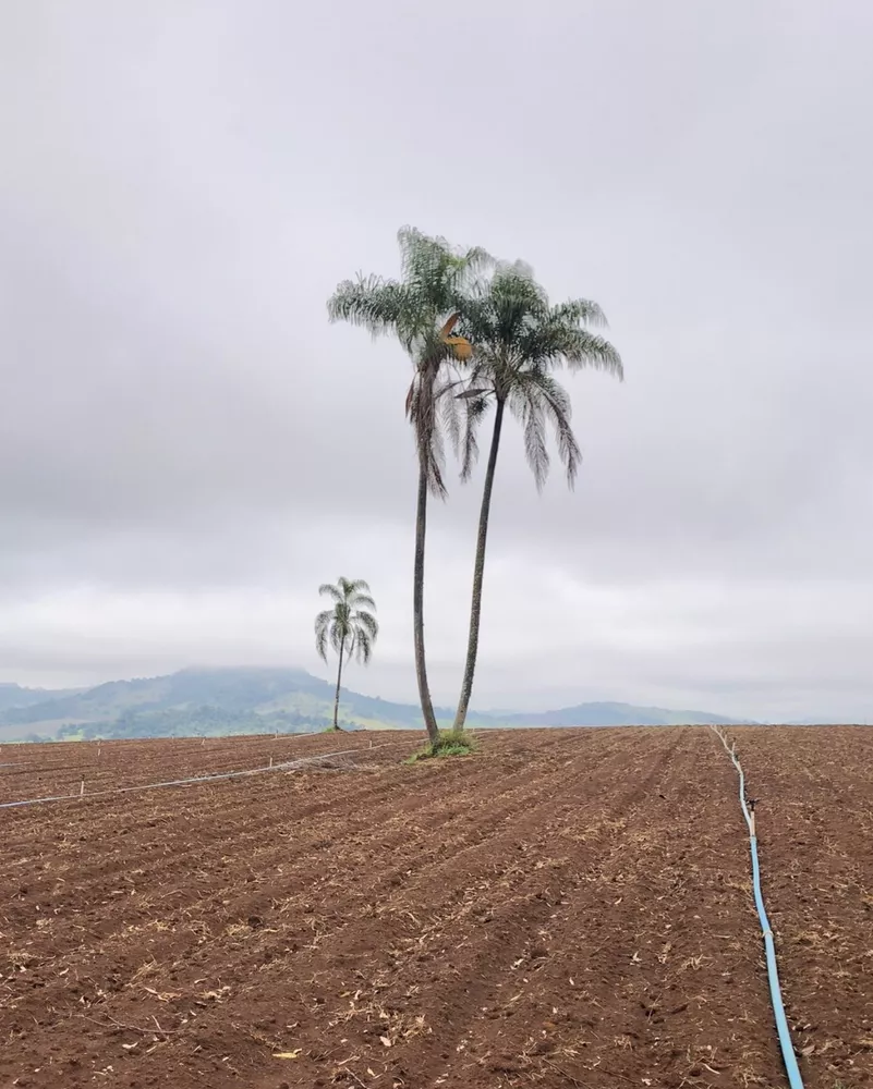 Fazenda à venda, 523m² - Foto 4