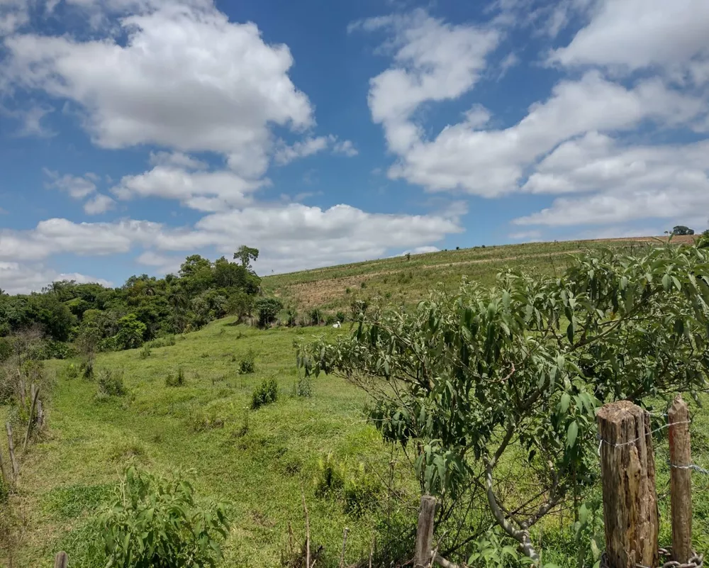 Haras e Área Rural Padrão à venda, 18m² - Foto 4