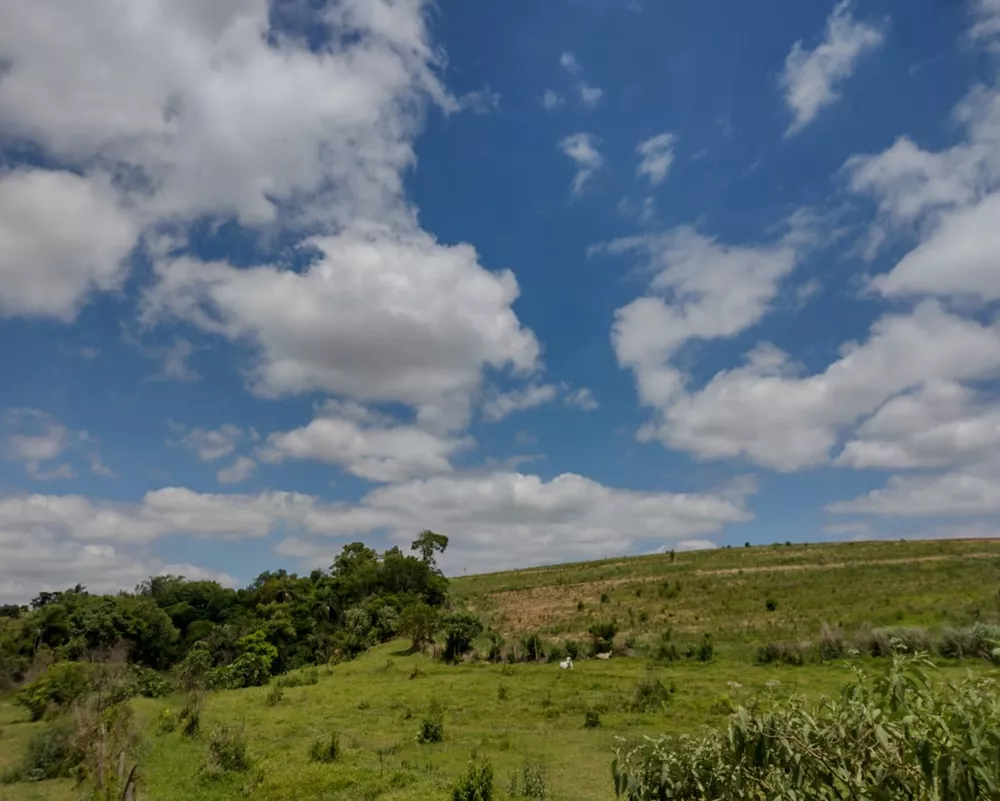 Haras e Área Rural Padrão à venda, 18m² - Foto 3