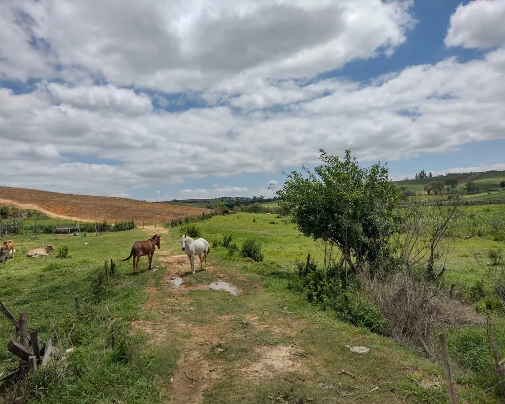 Haras e Área Rural Padrão à venda, 18m² - Foto 2