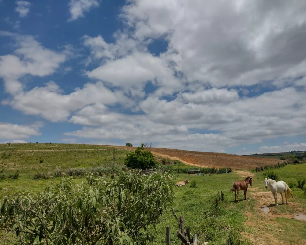 Haras e Área Rural Padrão à venda, 18m² - Foto 1