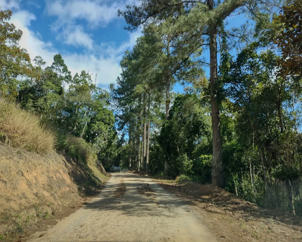 Fazenda à venda - Foto 4