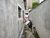 Casa, 210 m² - Foto 12