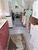 Casa, 3 quartos, 100 m² - Foto 1