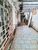 Terreno, 416 m² - Foto 4