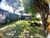 Terreno, 500 m² - Foto 2