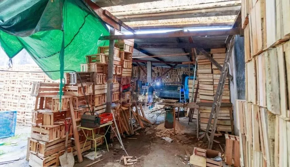 Casa, 3 quartos, 280 m² - Foto 7