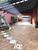Sobrado, 5 quartos, 800 m² - Foto 3