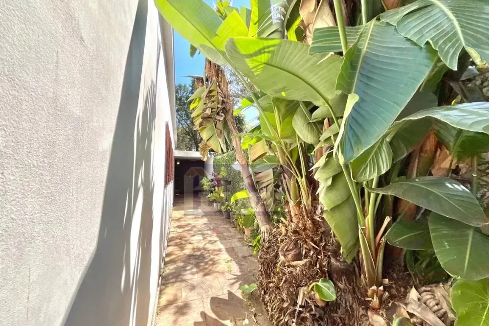 Casa, 3 quartos, 460 m² - Foto 10