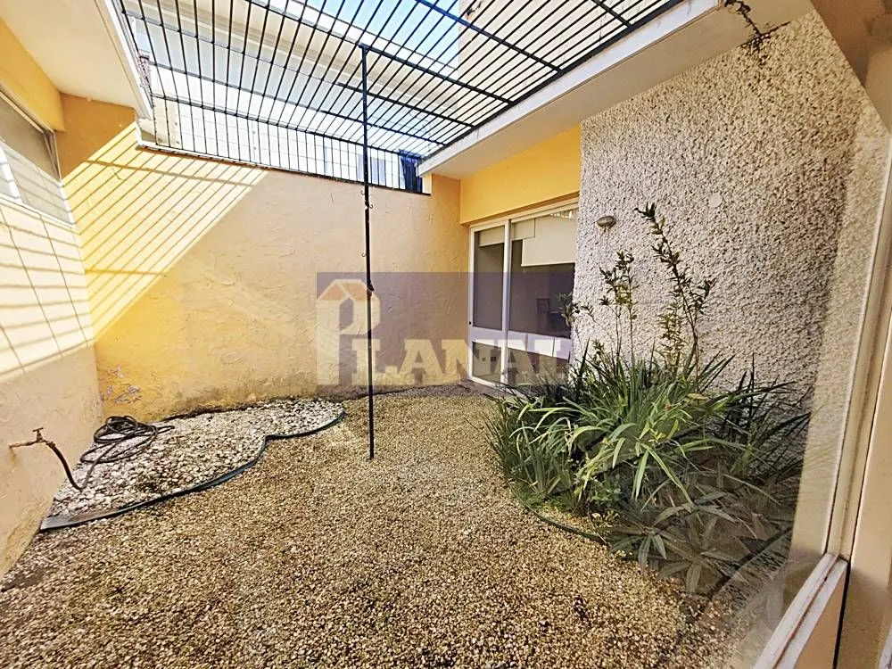 Casa, 3 quartos, 650 m² - Foto 4