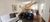 Sobrado, 4 quartos, 282 m² - Foto 2