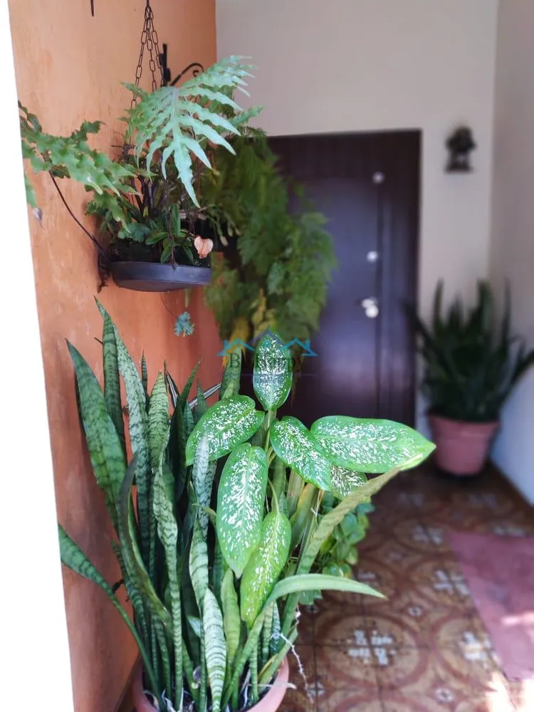Sobrado, 4 quartos, 125 m² - Foto 1