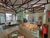 Casa, 5 quartos, 322 m² - Foto 4