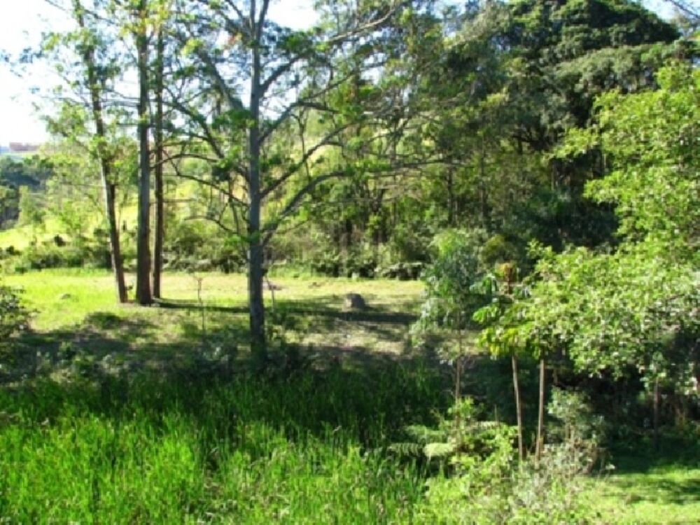 Terreno, 22000 m² - Foto 2