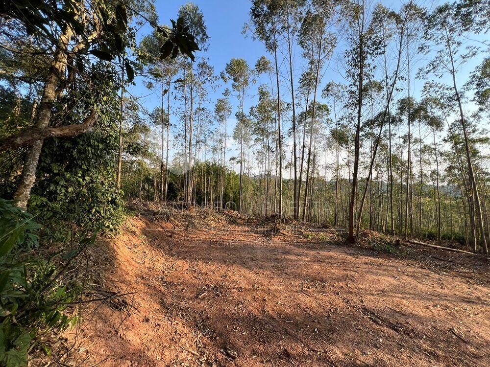 Terreno, 20000 m² - Foto 6