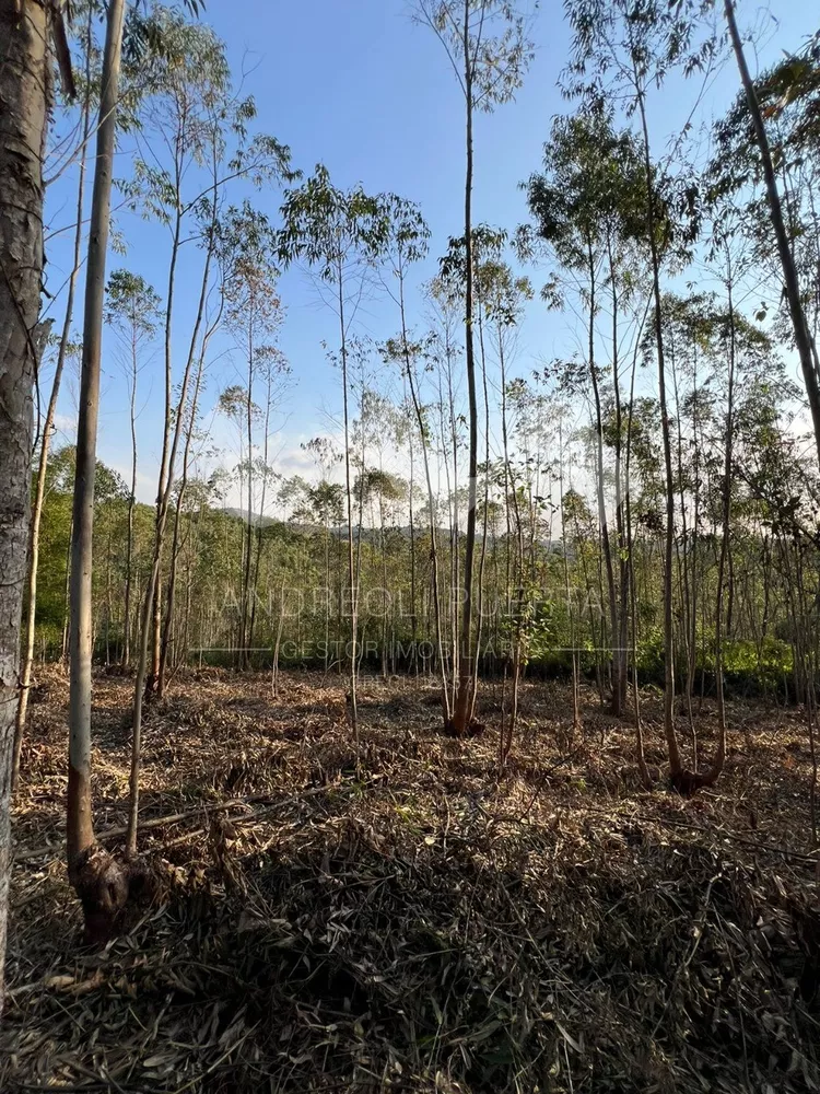 Terreno, 20000 m² - Foto 12