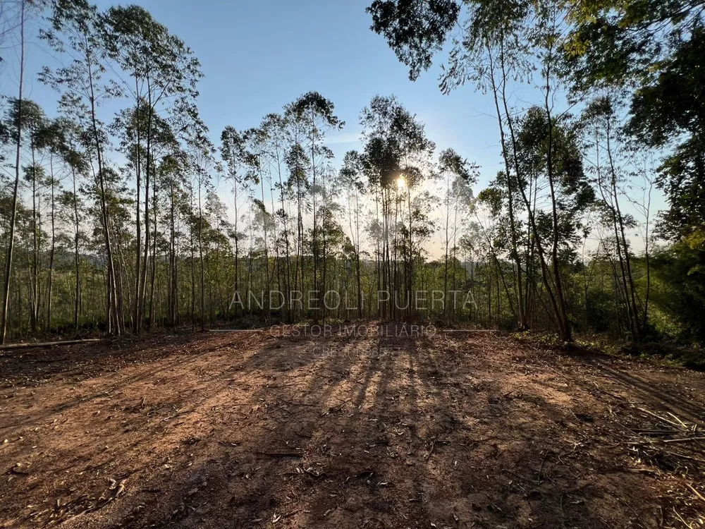 Terreno, 20000 m² - Foto 9