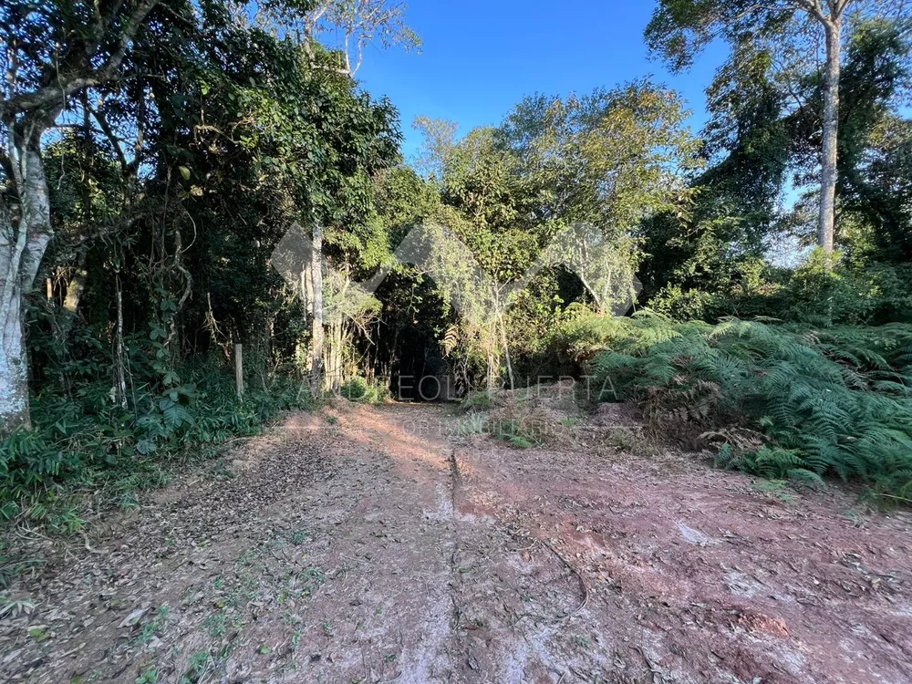 Terreno, 20000 m² - Foto 10