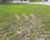 Terreno, 340 m² - Foto 2