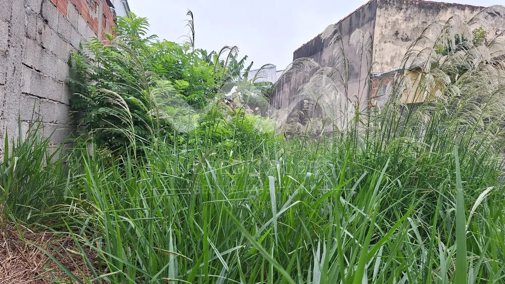 Terreno, 189 m² - Foto 2