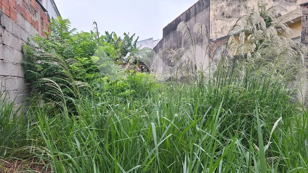 Terreno, 189 m² - Foto 3