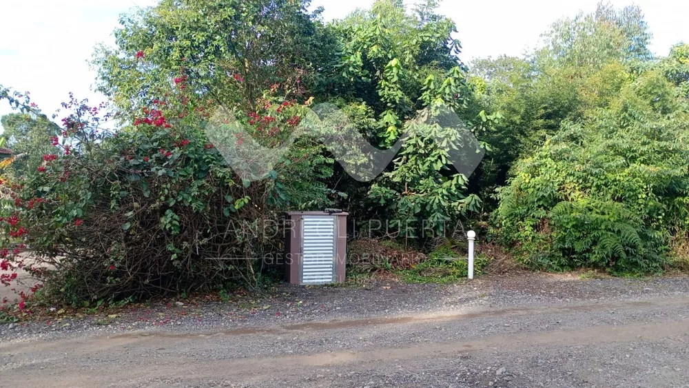 Terreno, 600 m² - Foto 4