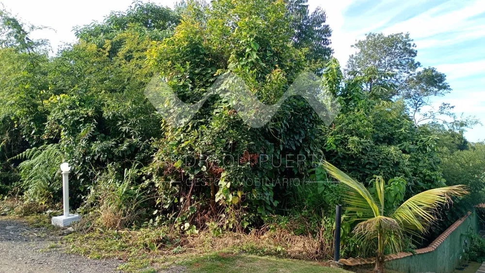 Terreno, 600 m² - Foto 2