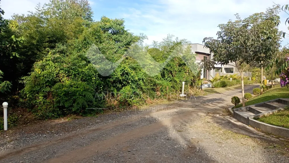 Terreno, 600 m² - Foto 4