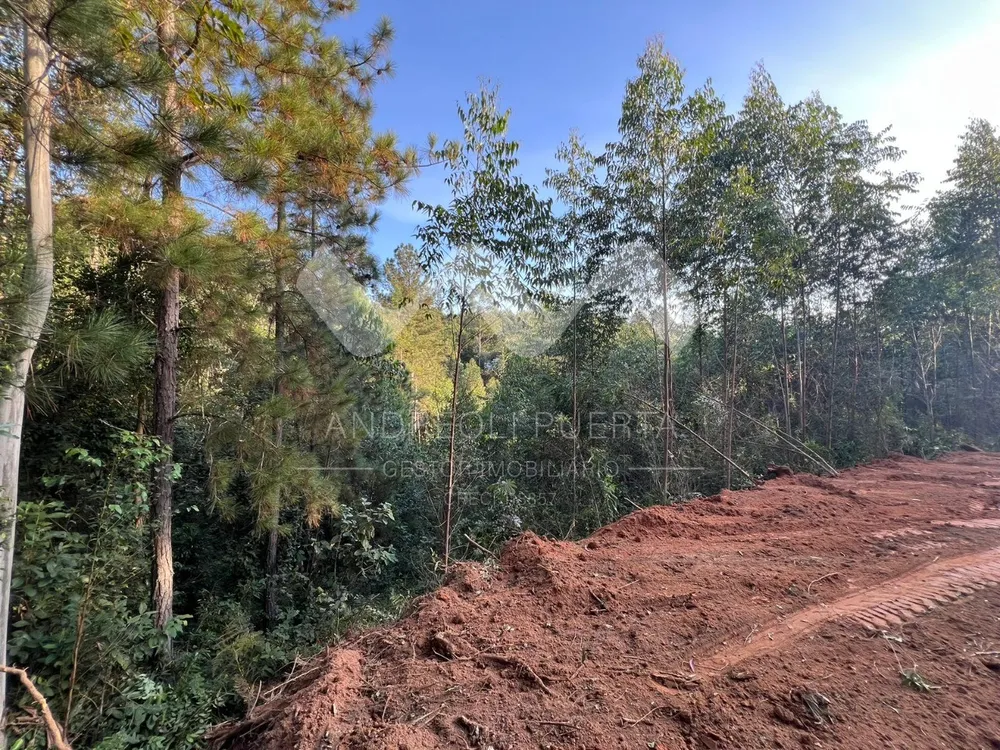 Terreno, 20000 m² - Foto 5