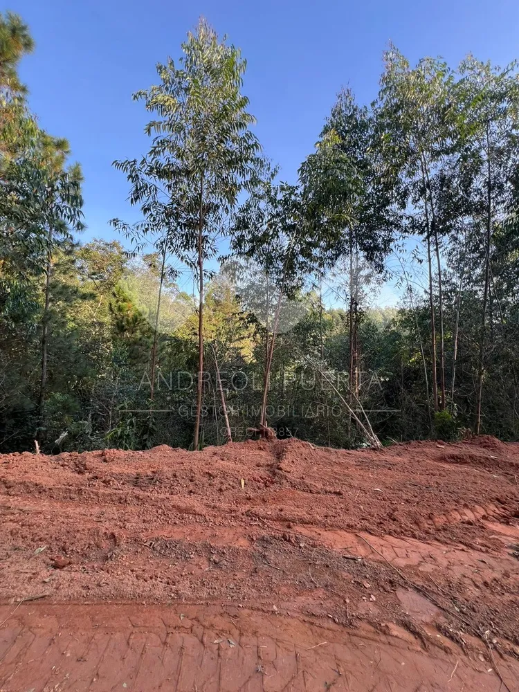Terreno, 20000 m² - Foto 4
