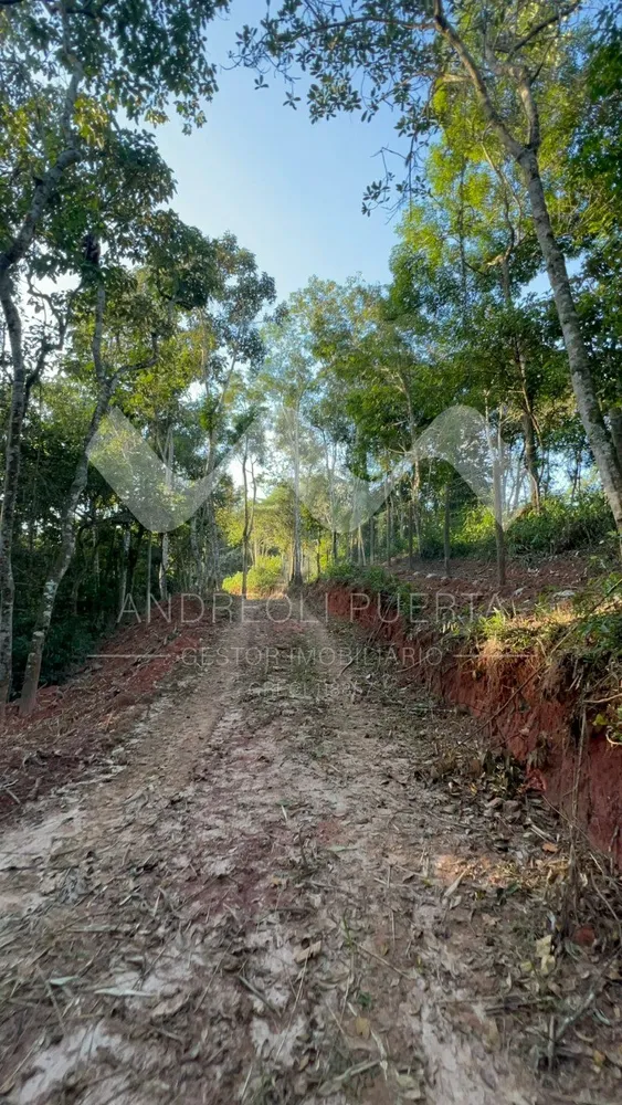 Terreno, 20000 m² - Foto 6