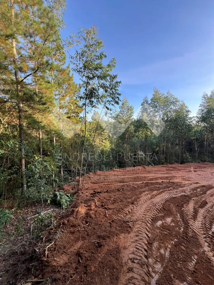 Terreno, 20000 m² - Foto 8