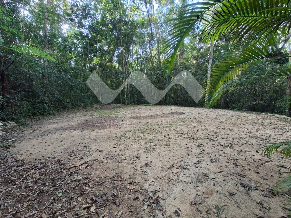 Sítio, 2 quartos, 2 hectares - Foto 4