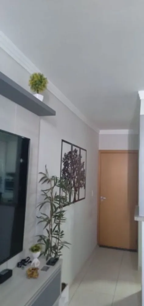 Apartamento, 3 quartos, 63 m² - Foto 5