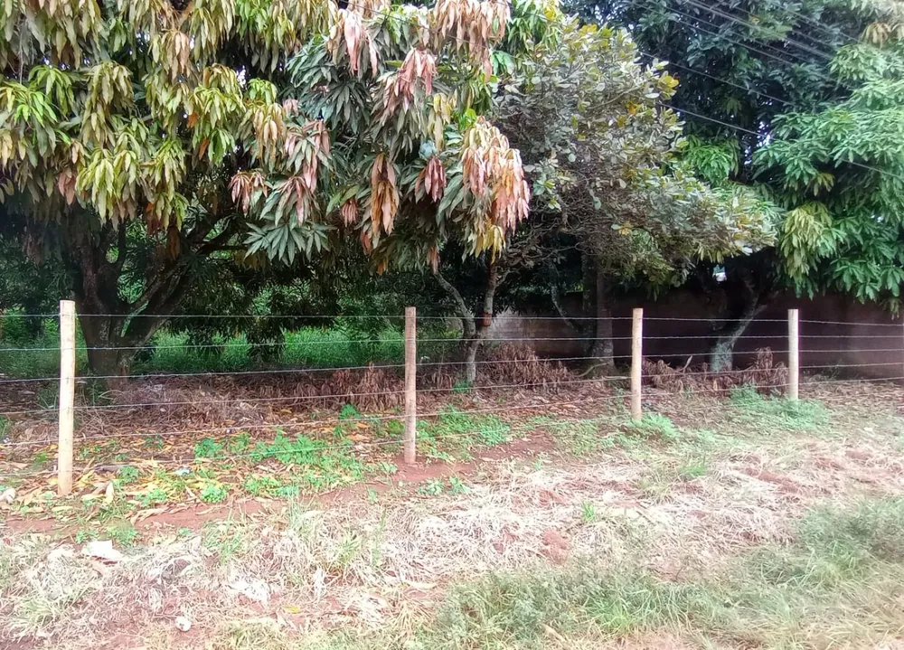 Terreno, 1000 m² - Foto 3
