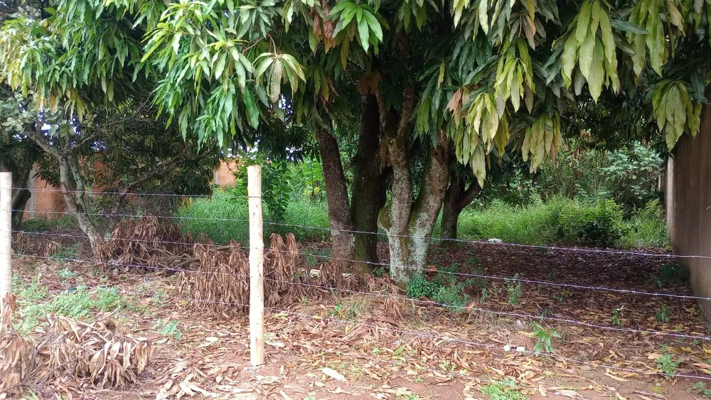 Terreno, 1000 m² - Foto 1