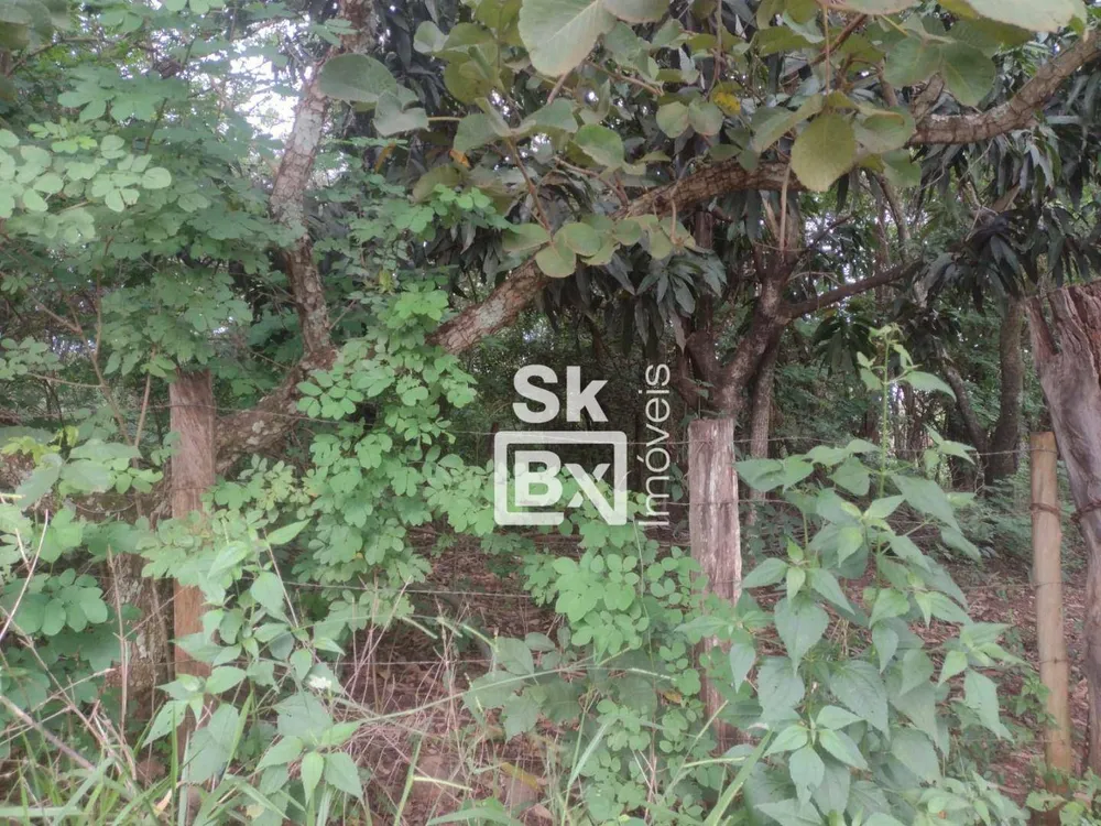 Terreno, 5 hectares - Foto 3