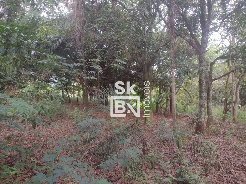 Terreno, 5 hectares - Foto 12