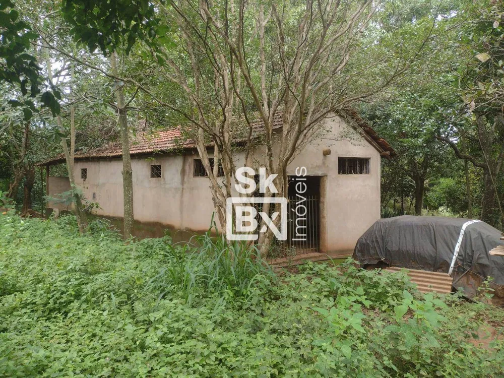 Terreno, 5 hectares - Foto 4