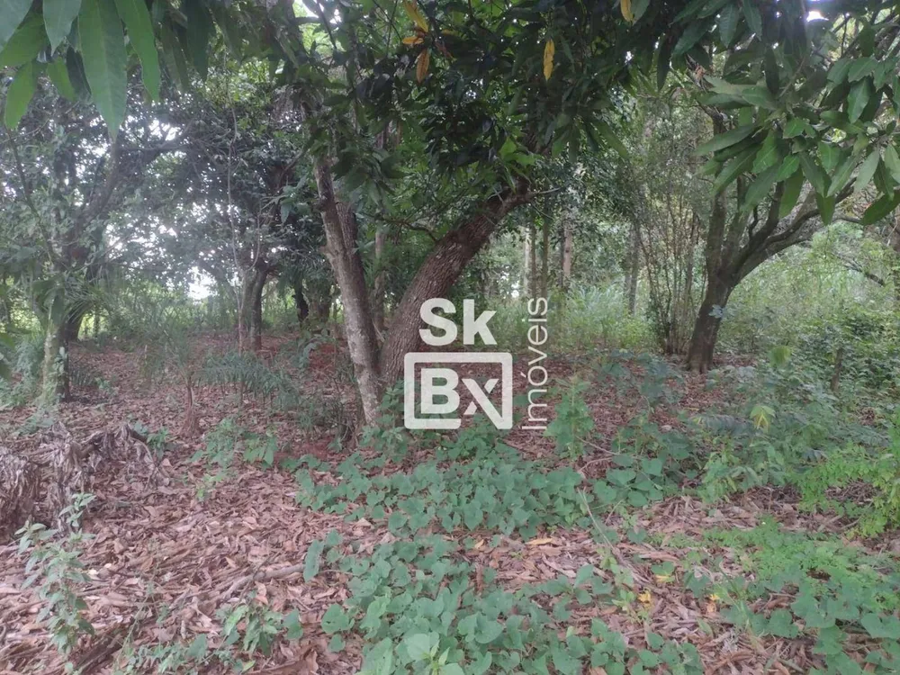 Terreno, 5 hectares - Foto 13