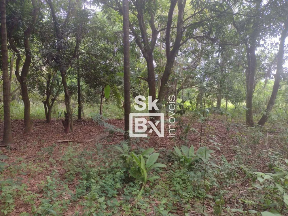 Terreno, 5 hectares - Foto 9