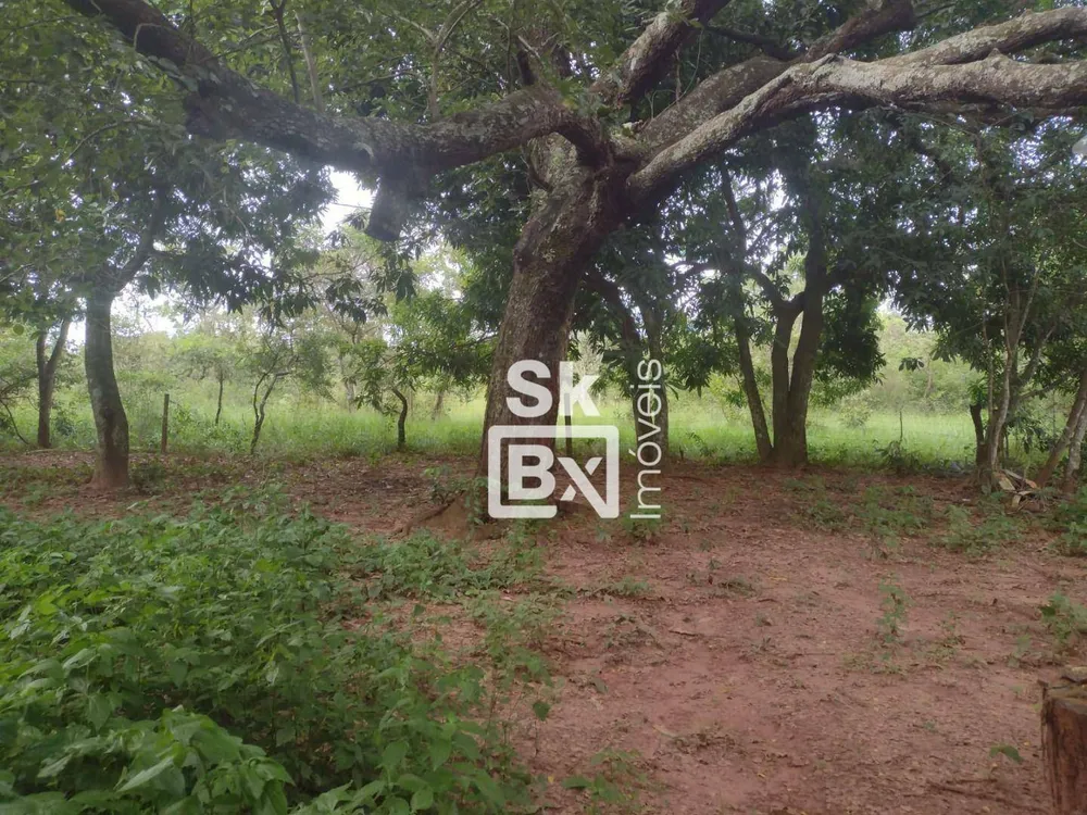Terreno, 5 hectares - Foto 7