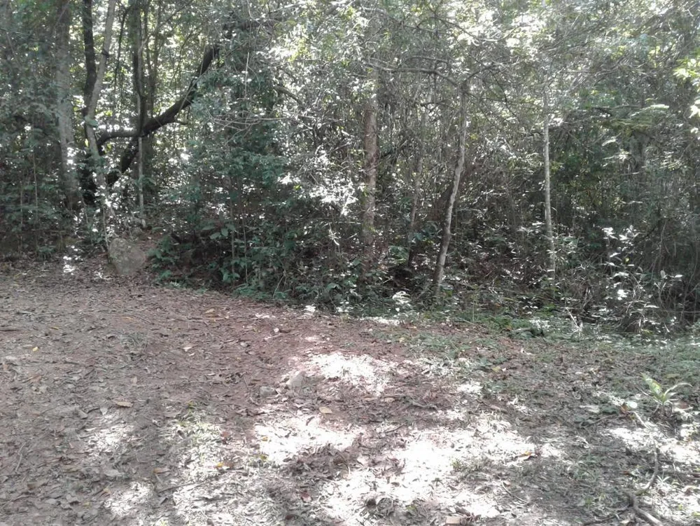 Chácara, 2 quartos, 2 hectares - Foto 5