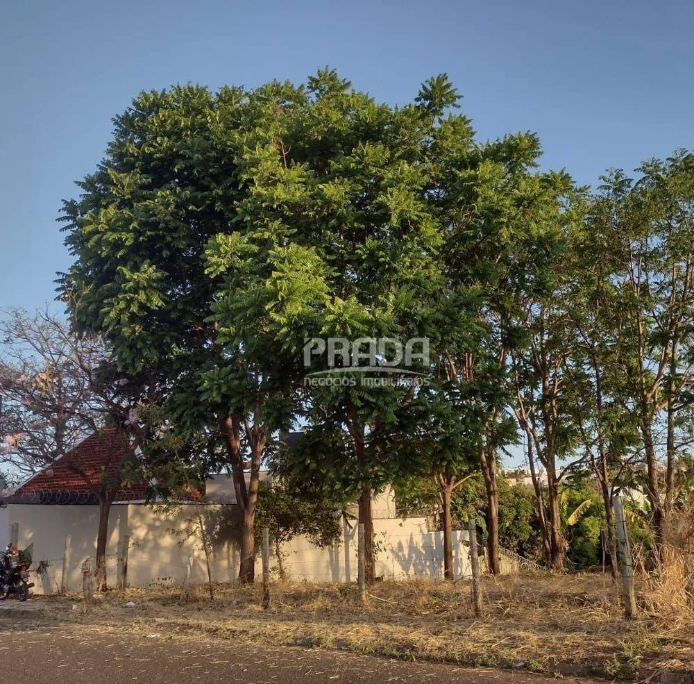 Terreno, 300 m² - Foto 2