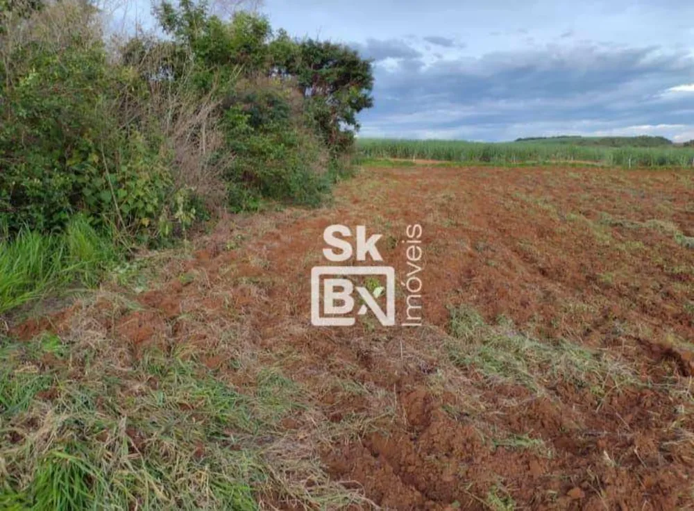 Terreno, 2 hectares - Foto 2