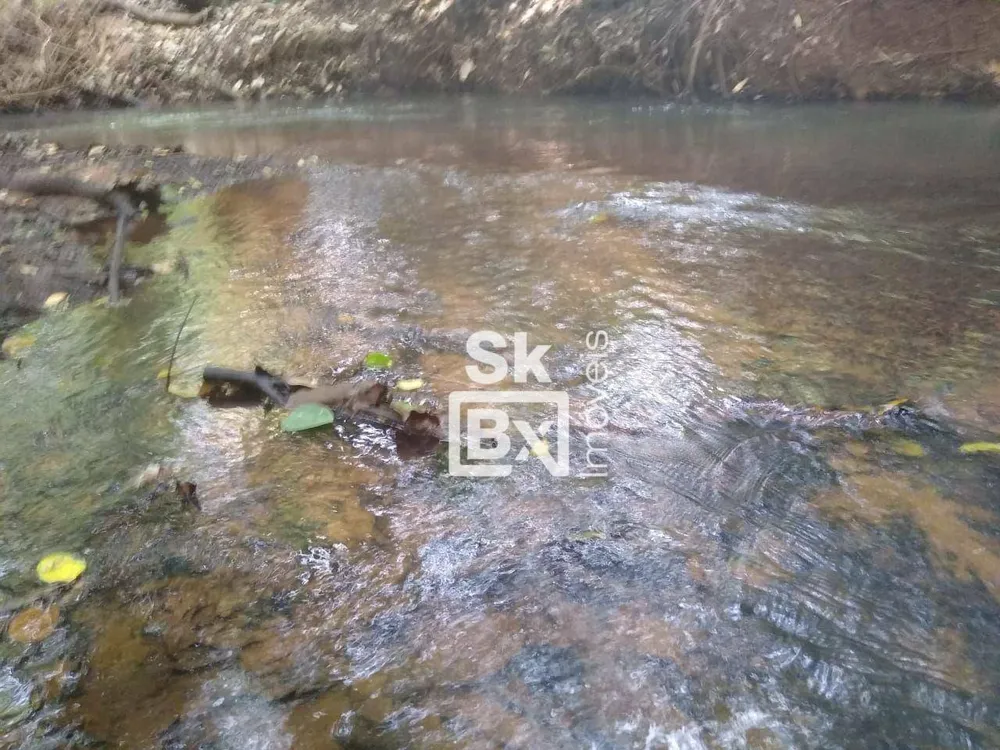 Terreno, 2 hectares - Foto 4