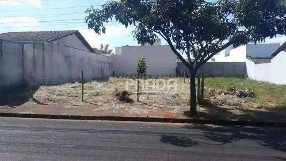Terreno, 250 m² - Foto 1