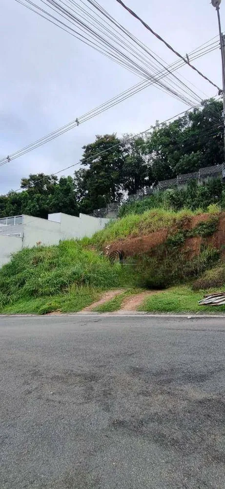 Terreno, 250 m² - Foto 5