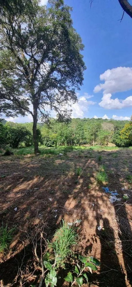Terreno, 9357 m² - Foto 6